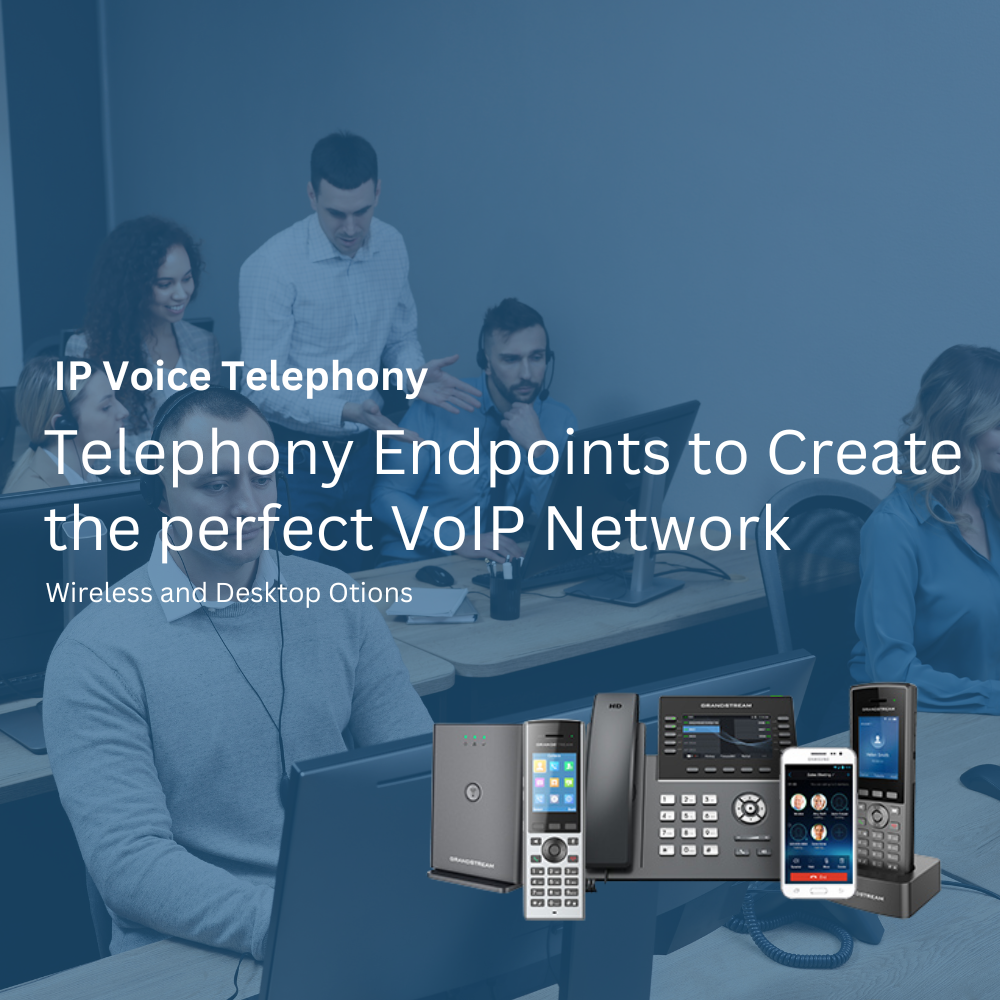 IP Voice Telephony